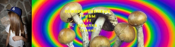 PSILOCYBIN Балахна