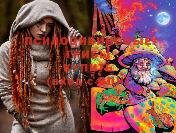 PSILOCYBIN Балахна