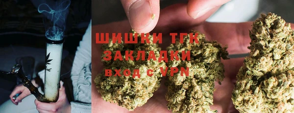 PSILOCYBIN Балахна