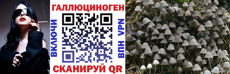 hydra зеркало  Вельск  Псилоцибиновые грибы Psilocybe  купить  